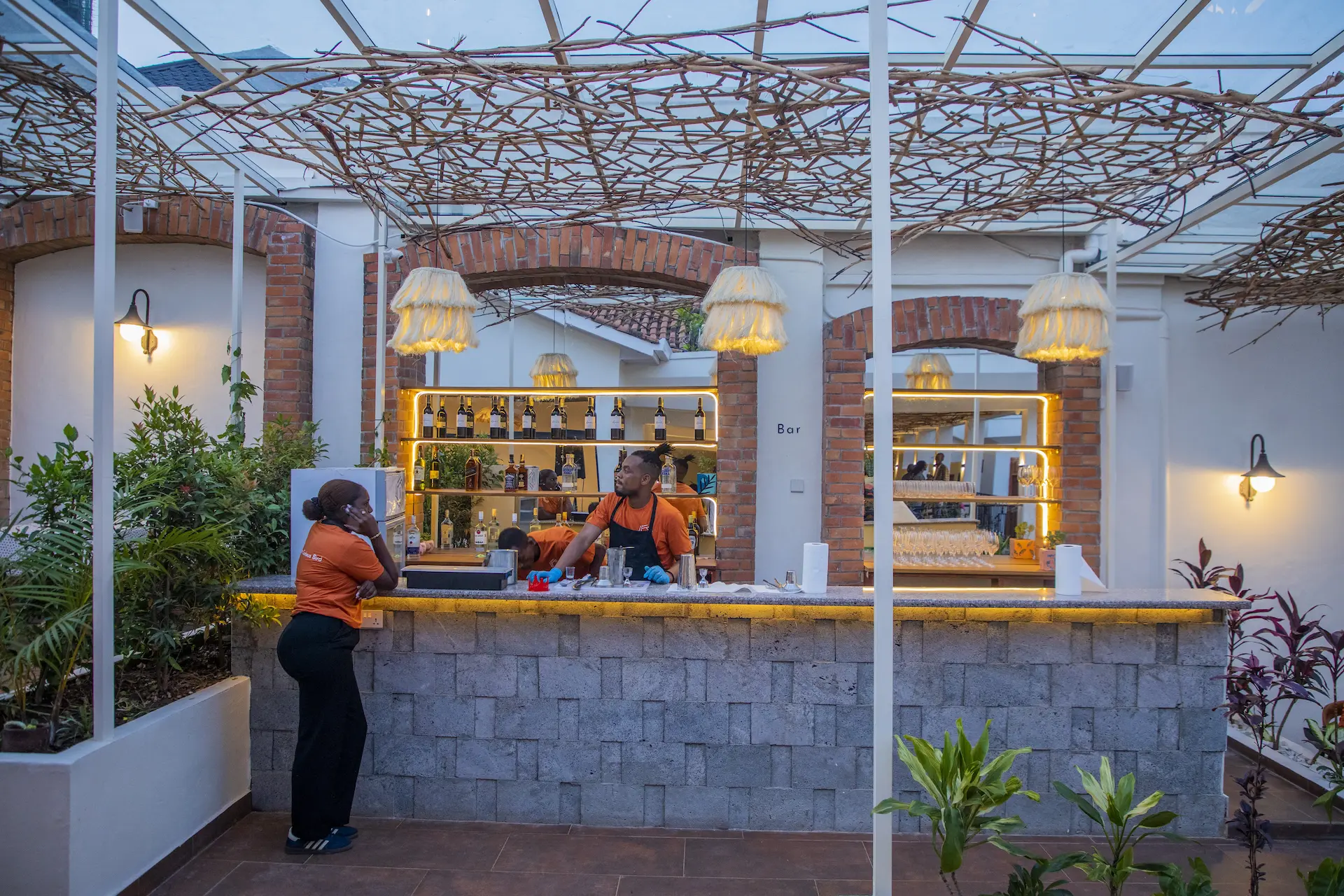 Outdoor bar at dusk with illuminated bottle shelves