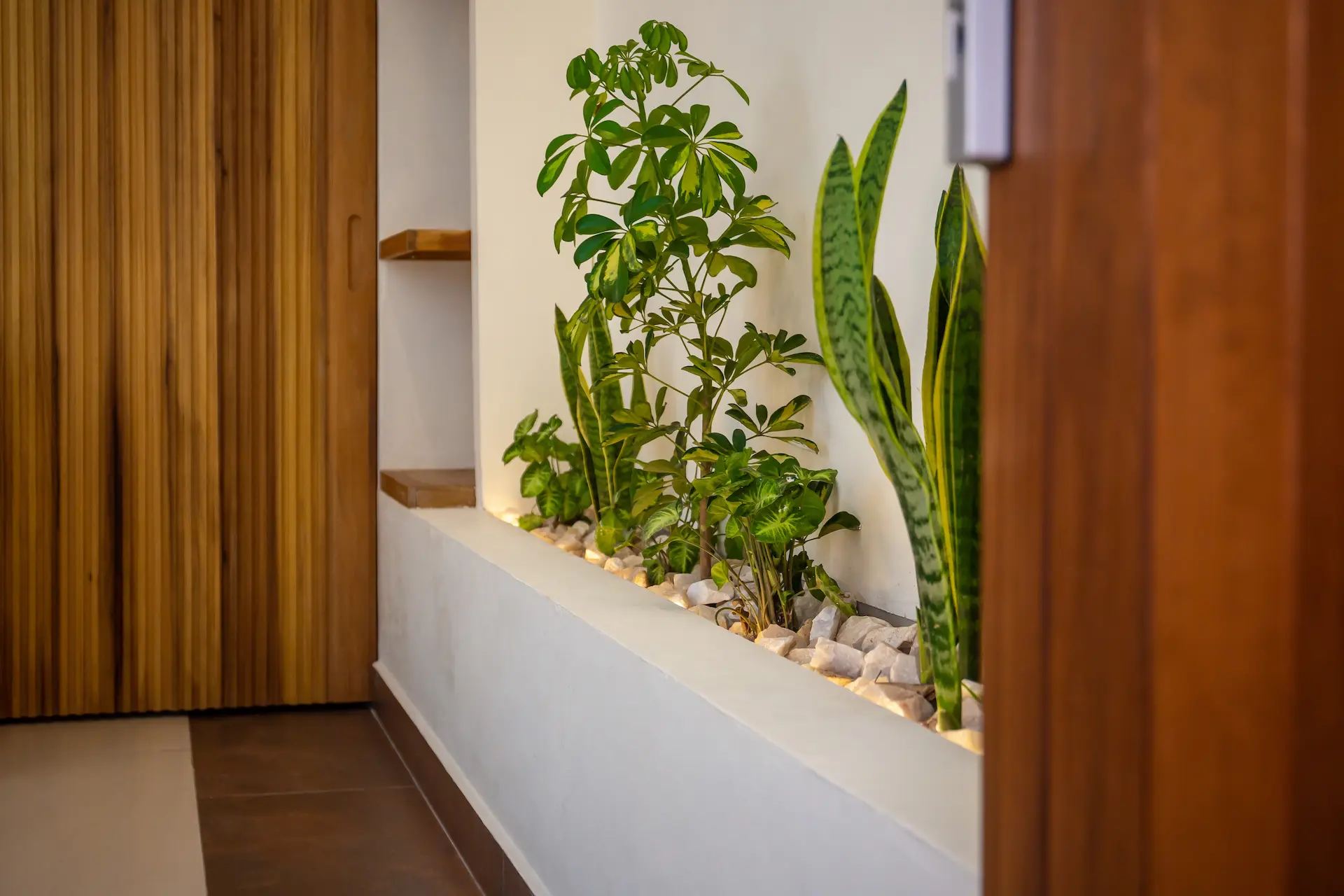Built-in plant trough with snake plants and LED lighting