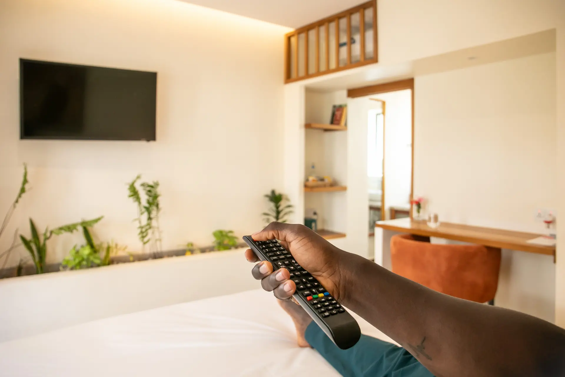 Smart TV and indoor plant wall in Adventurer room